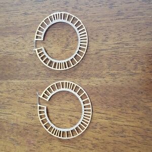 Swarovski crystal earrings